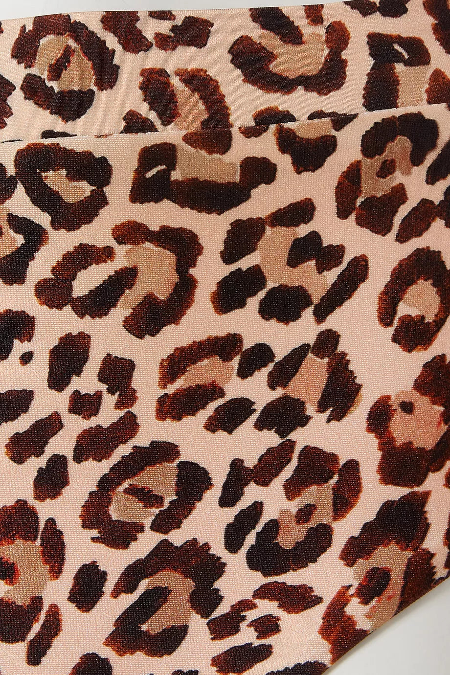 PATBO PANTHERA HIGH WAITS BIKINI BOT - BEYMEN